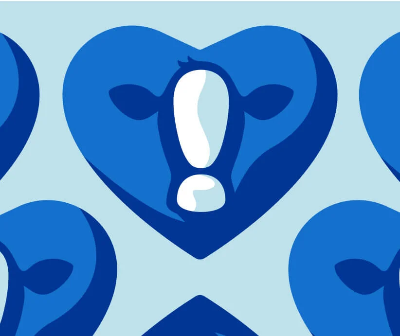 wellness journey placeholder